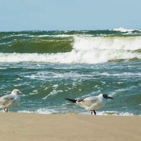 Salzhorstweg Apartament *